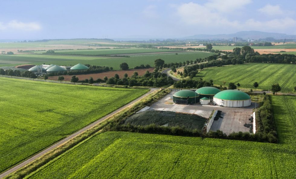 Comment Fonctionne L'énergie De La Biomasse ? | Je Donne Du Sens